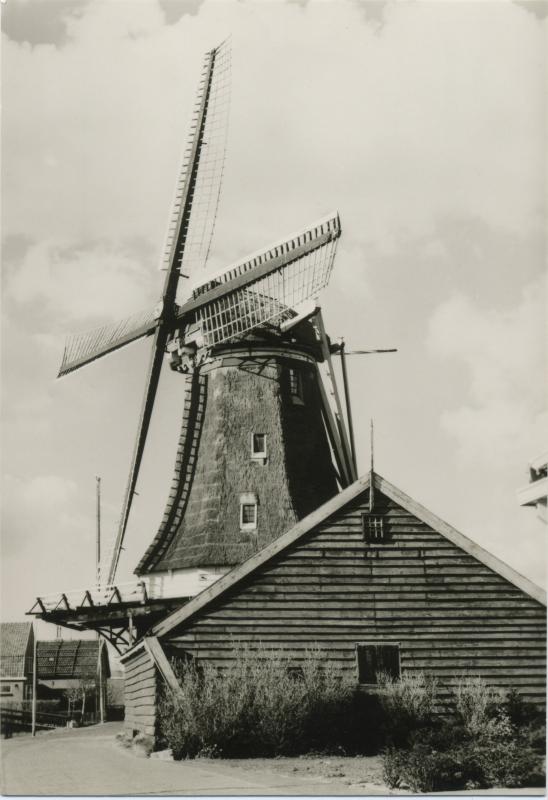 Foto 793759870